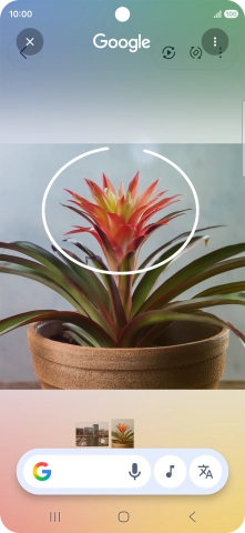 Draw a circle around the required object on the picture and wait for the search results. Draw a circle around the required object on the picture and wait for the search results.