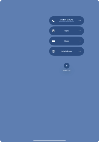 Press the required focus mode to activate or deactivate it immediately.