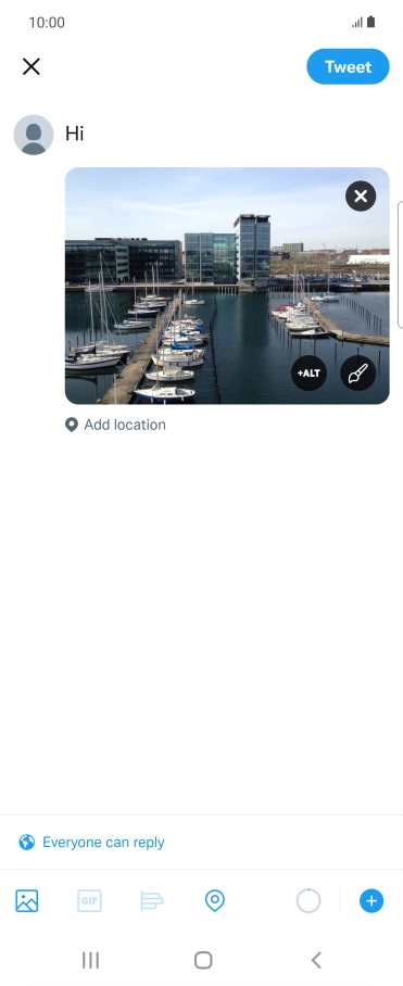 Write the required text and press Tweet.