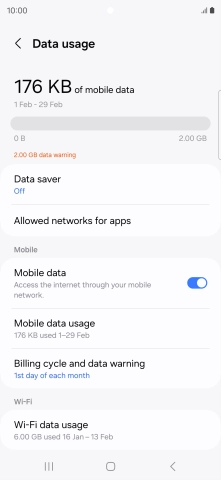 The total data usage is displayed. The total data usage is displayed.