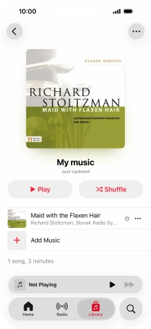 Go to the required category or playlist and press the required audio file.
