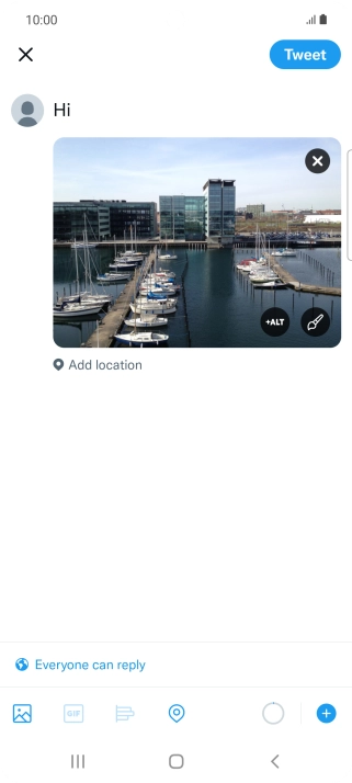 Write the required text and press Tweet.