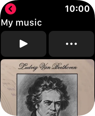 Press the play icon to start the playback.