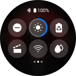 Press the suppression of calls and notifications icon to turn the function on or off.