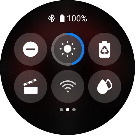 Press the suppression of calls and notifications icon to turn the function on or off.