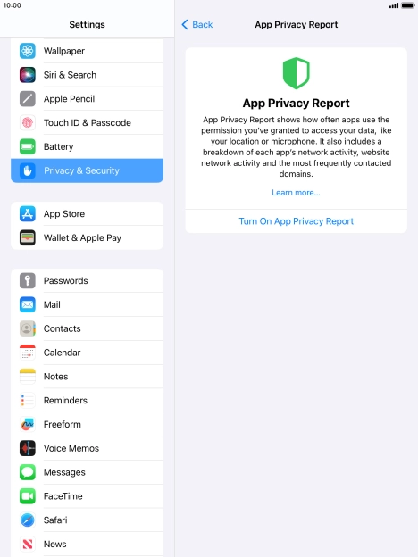 Press Turn On App Privacy Report to turn on the function.