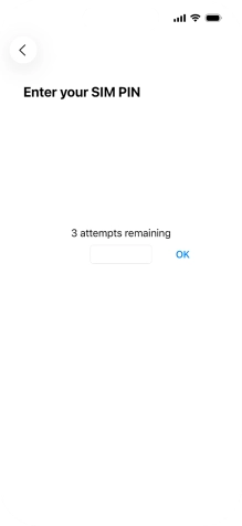 If your SIM is locked, key in your PIN and press OK.