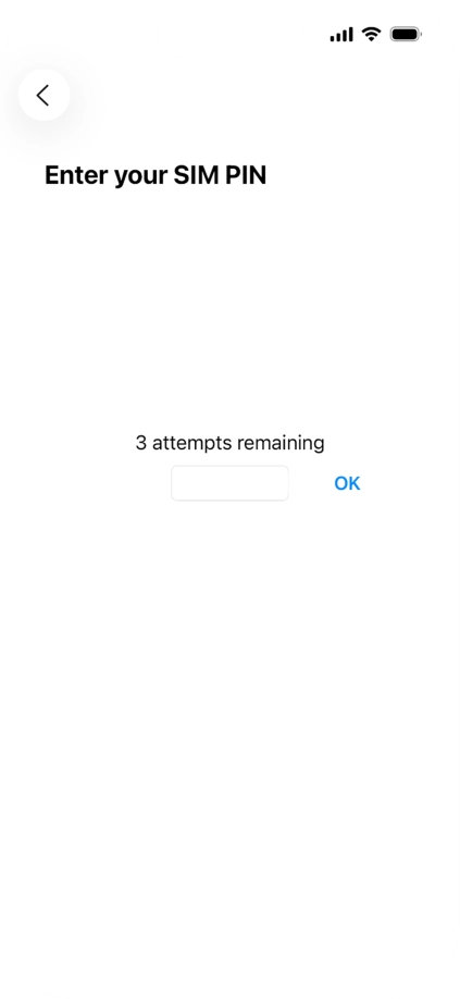 If your SIM is locked, key in your PIN and press OK.