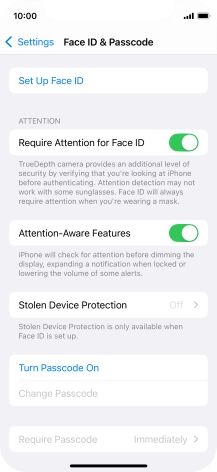 Press Turn Passcode On and key in a phone lock code of your own choice twice.