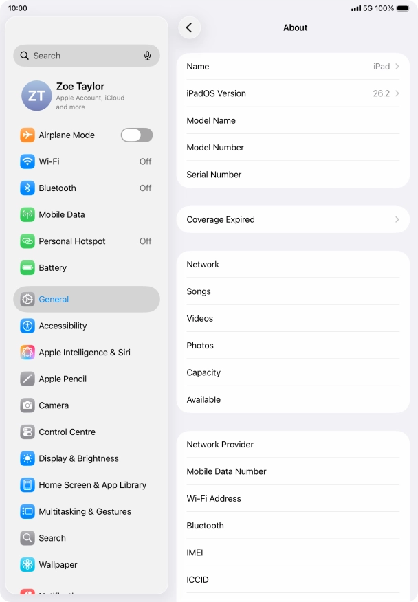 Your tablet's software version is displayed next to iPadOS Version.