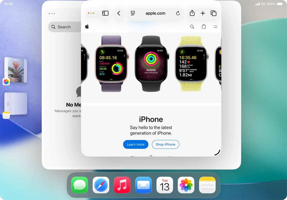 To adjust the size of the application window, press and drag the adjust size icon.