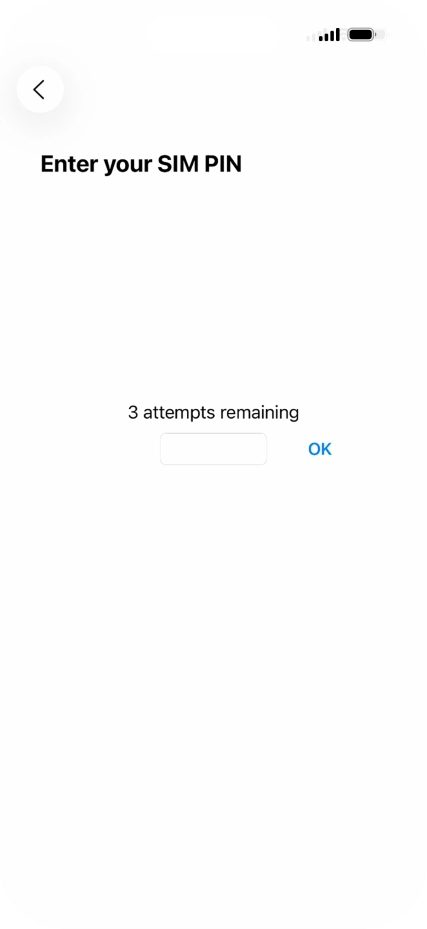 If your SIM is locked, key in your PIN and press OK.