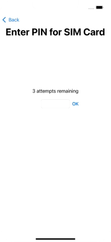 If your SIM is locked, key in your PIN and press OK.