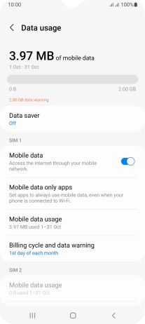 The total data usage is displayed. The total data usage is displayed.
