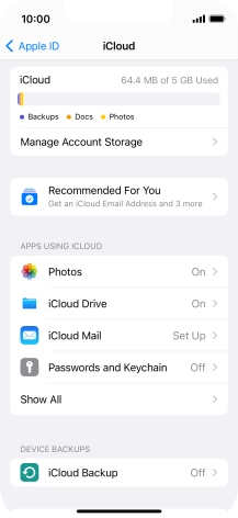 Press iCloud Backup.