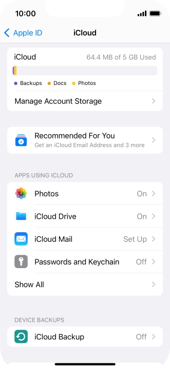 Press iCloud Backup.