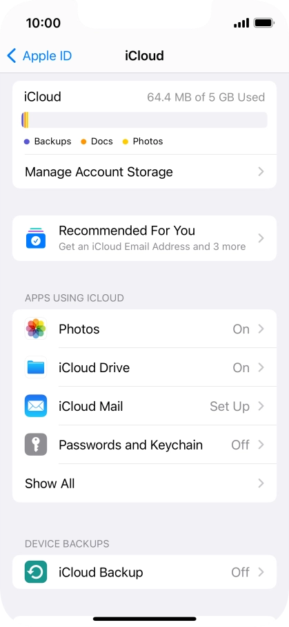 Press iCloud Backup.
