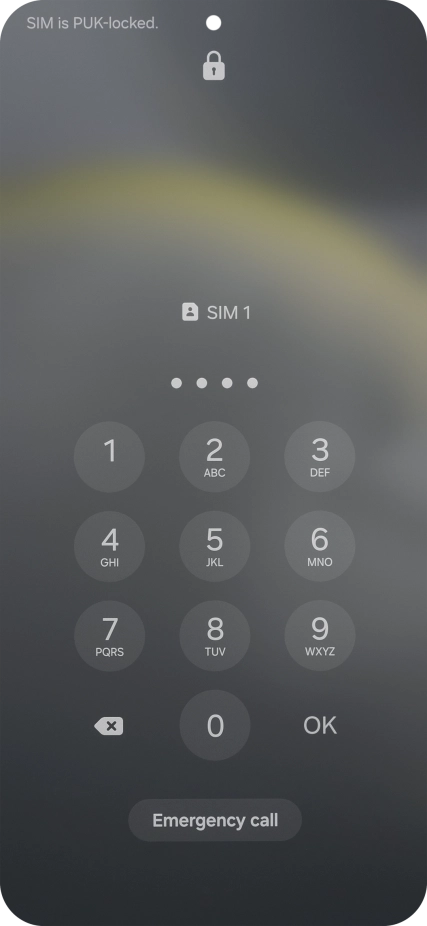 Key in a new four-digit PIN and press OK.