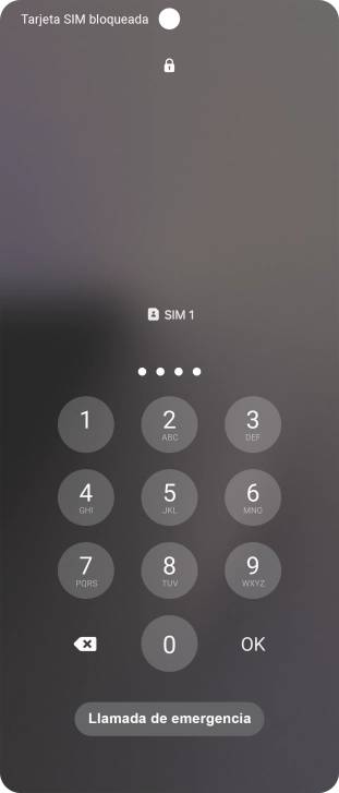 Si es necesario desbloquear la tarjeta SIM, introduce el código PIN y pulsa OK.