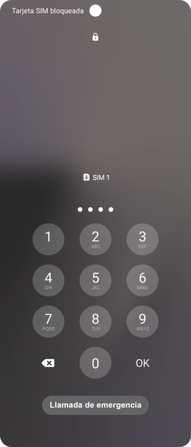 Si es necesario desbloquear la tarjeta SIM, introduce el código PIN y pulsa OK.