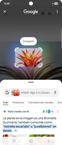 Sigue las indicaciones de la pantalla para utilizar los resultados de búsqueda.