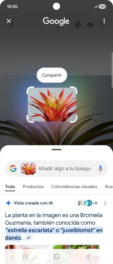 Sigue las indicaciones de la pantalla para utilizar los resultados de búsqueda.