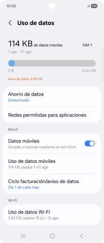 El consumo total de datos se visualiza ahora en la pantalla.