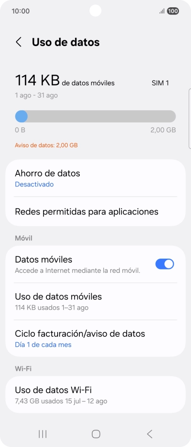 El consumo total de datos se visualiza ahora en la pantalla.