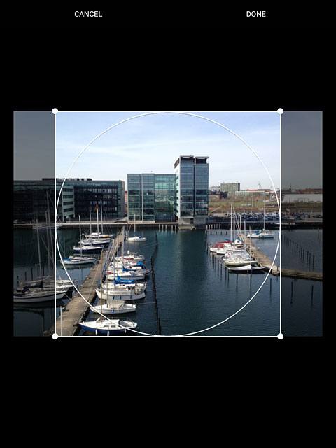 Drag the frame to the required position to select the required detail.