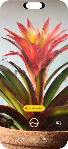 For information about animals and plants, press the information field.