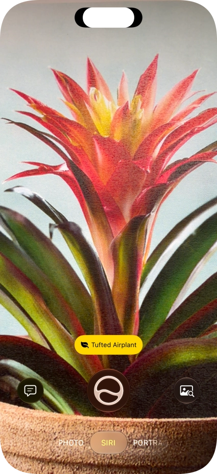 For information about animals and plants, press the information field.