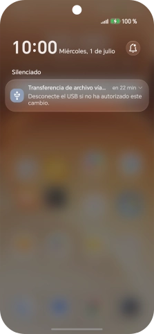 Pulsa el icono de USB.
