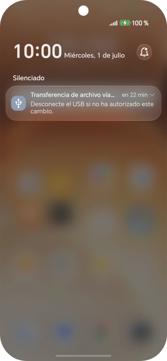 Pulsa el icono de USB.