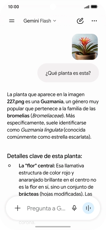 Sigue las indicaciones de la pantalla para escribir o decir en alto la pregunta deseada. Puedes adjuntar fotografías o documentos y hacer preguntas acerca de ellos.