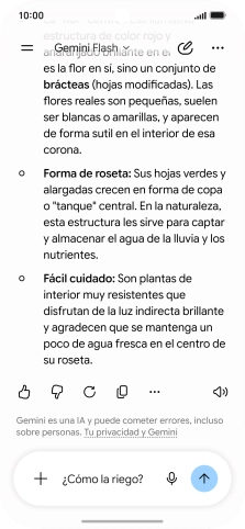 Sigue las indicaciones de la pantalla para escribir o decir en alto más preguntas y continuar la conversación.