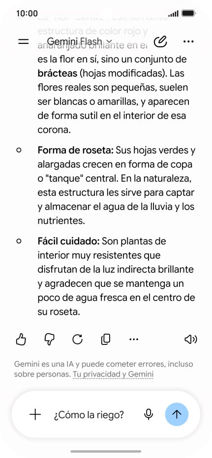 Sigue las indicaciones de la pantalla para escribir o decir en alto más preguntas y continuar la conversación.