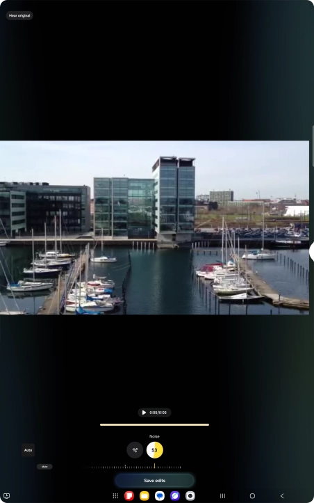 Press Mute to completely remove the selected audio type from the video.