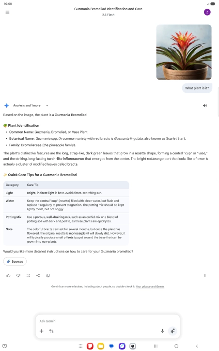 Follow the instructions on the screen to type or speak the required question. You can also attach pictures or documents and ask questions to them.
