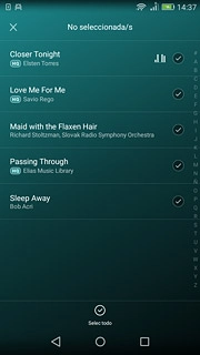 Pulsa los archivos de música deseados para seleccionarlos.