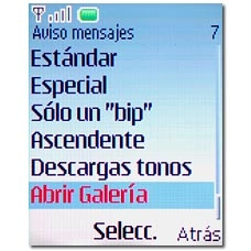 Si selecciona Abrir Galería: