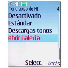 Si selecciona Abrir Galería: