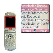 Elija una de las siguientes posibilidades de restricción:Restringir Salientes