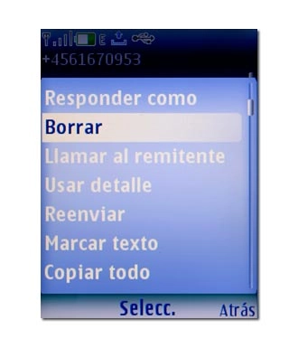 Vaya a Borrar y pulse la tecla de navegación.