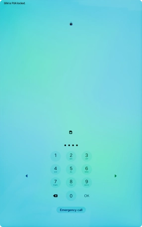 Key in a new four-digit PIN and press OK.