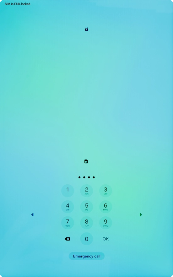 Key in a new four-digit PIN and press OK.