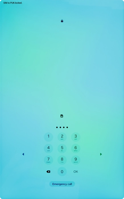 Key in the new PIN again and press OK.