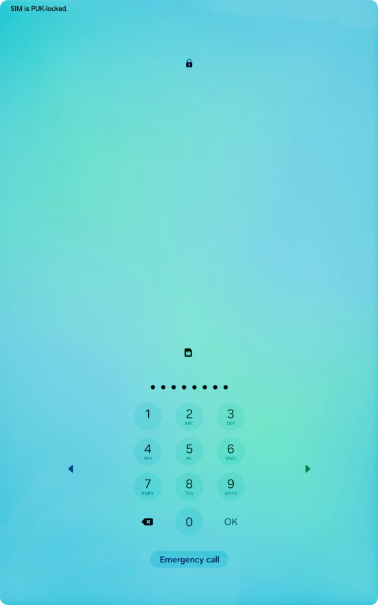 Key in the PUK and press OK.