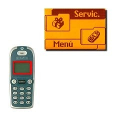 Elija Servic. y pulse OK.