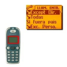 Elija uno de los siguientes tipos de restricción:Except Dir.