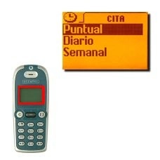 Elija Puntual, Diario o Semanal y pulse OK.